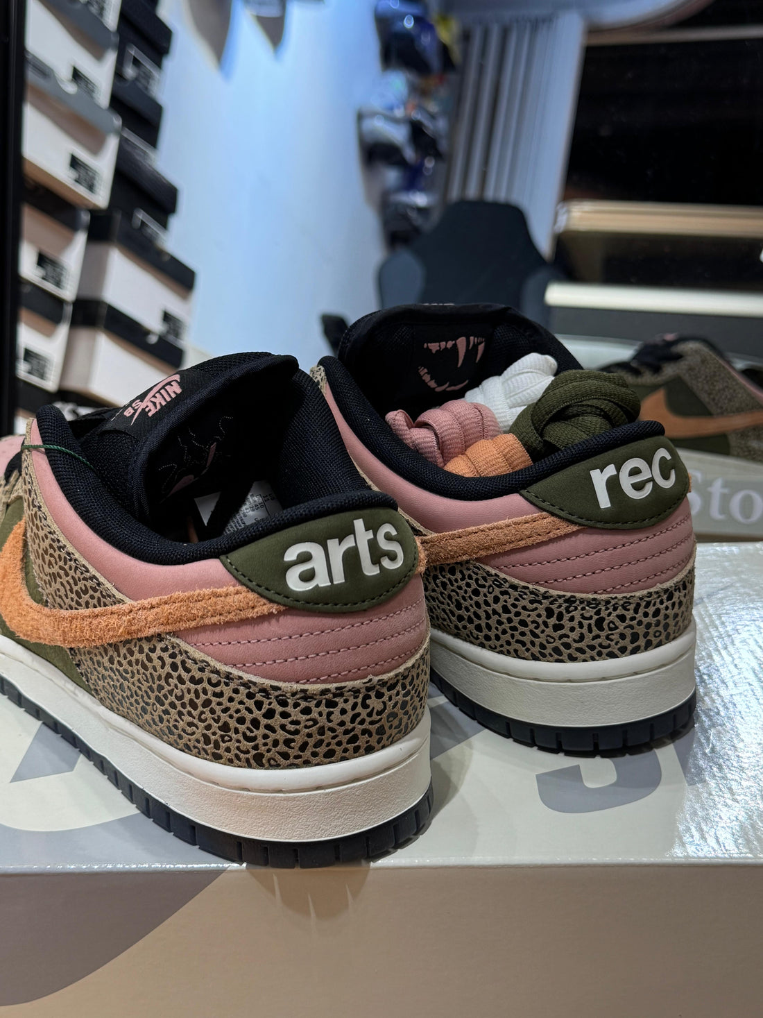 Nike Dunk Low SB Arts-Rec
